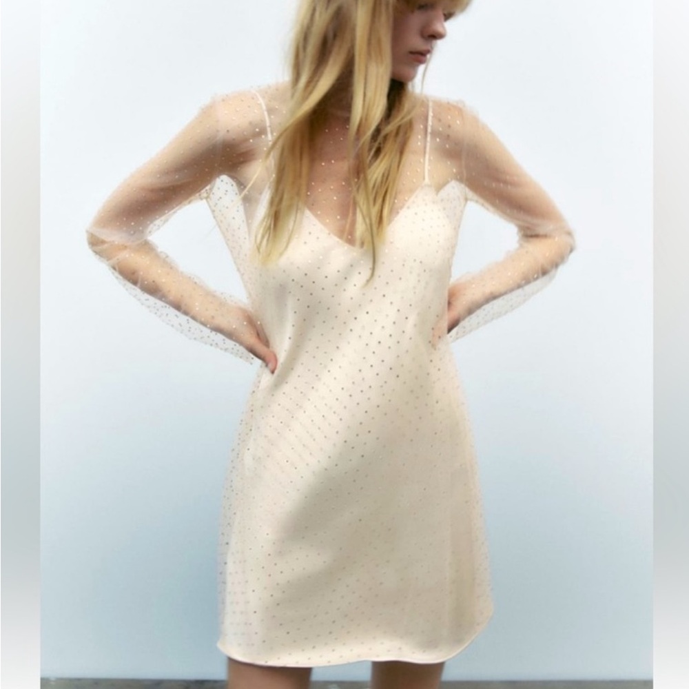 Zara Sheer Cream Long Sleeve Dress